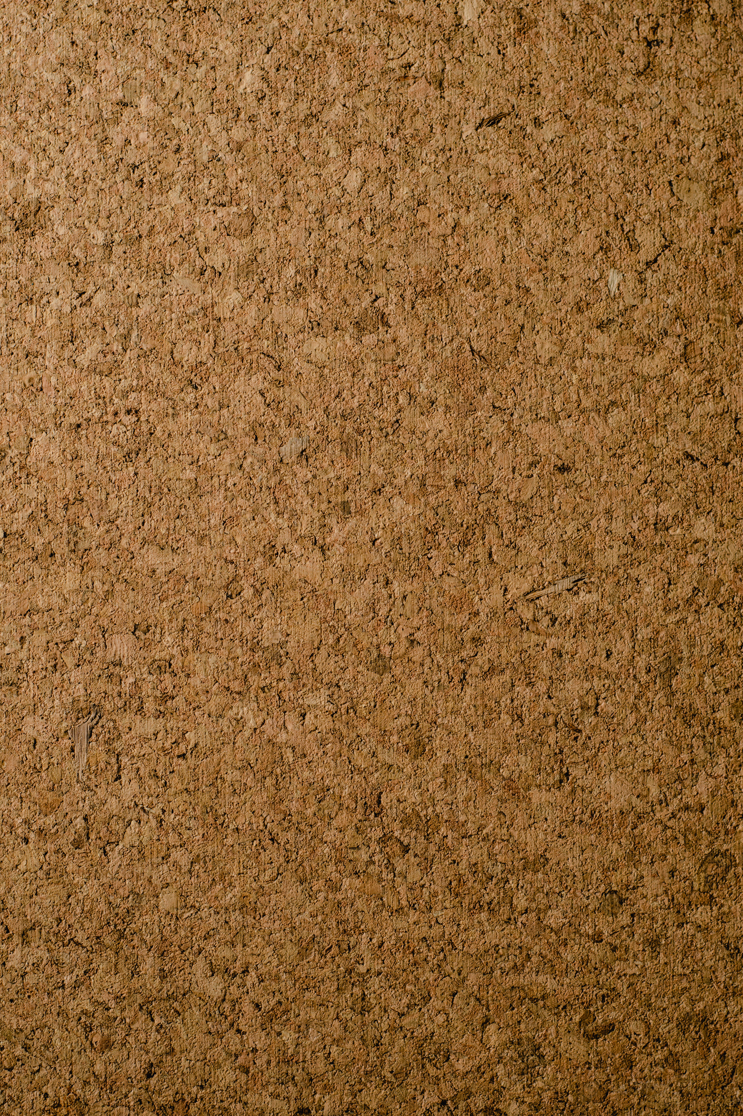  A Close-Up Shot of a Cork Board